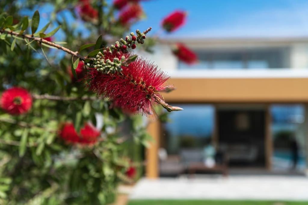 Amare Chania Luxury Residence Stérnai Екстериор снимка